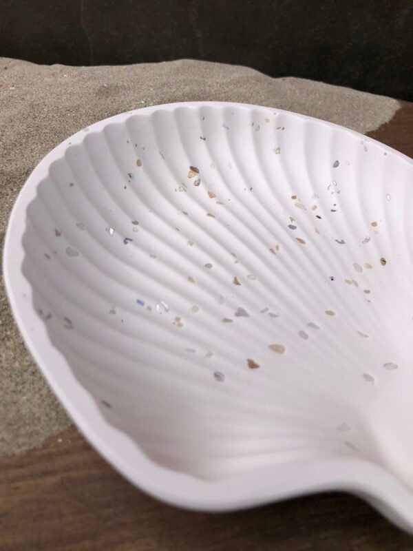 Coquillage – Image 2